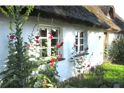 Bild zur gratis inserierten Ferienwohnung Ferienwohnung-3552385.