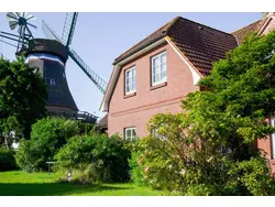 Bild zur gratis inserierten Ferienwohnung Ferienwohnung-3557900.