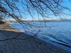 Ferienwohnung Ferienwohnung-3559323 in Quern - 4 Personen, Hund erlaubt