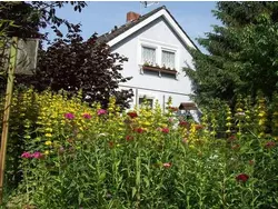 Ferienwohnung Ferienwohnung-1642623 in Schelingen - 4 Personen, Hund erlaubt