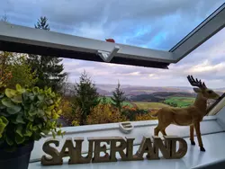 Ferienwohnung Ferienwohnung-3559299 in Bestwig - 4 Personen, Hund erlaubt