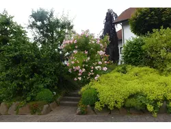 Ferienwohnung Ferienwohnung-3558629 in Hilders - 4 Personen, Hund nicht erlaubt