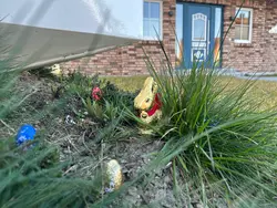 Ferienhaus Ferienhaus-3553339 in Dranske - 6 Personen, Hund nicht erlaubt