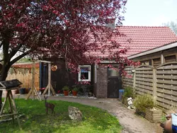 Ferienhaus Ferienhaus-2254257 in Hünxe - 4 Personen, Hund nicht erlaubt