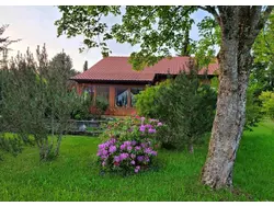 Ferienhaus Ferienhaus-3562121 in Nesselwang - 7 Personen, Hund nicht erlaubt