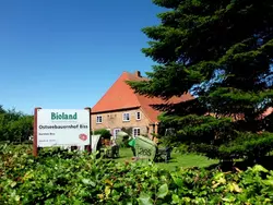 Ferienhaus Ferienhaus-3566679 in Blekendorf - 5 Personen, Hund erlaubt