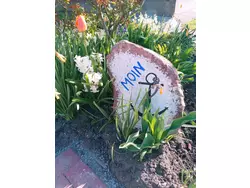 Bild zur gratis inserierten Ferienwohnung Ferienwohnung-3566825.