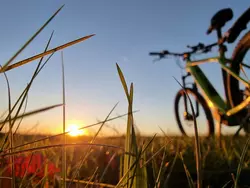 Ferienwohnung Ferienwohnung-3566992 in Bischofsgrün - 3 Personen, Hund erlaubt