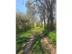 Ferienwohnung Ferienwohnung-3569912 in Carinerland - 4 Personen, Hund nicht erlaubt