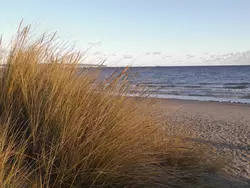 Bild zur gratis inserierten Ferienwohnung Ferienwohnung-3572359.