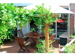 Bild zur gratis inserierten Ferienwohnung Ferienhaus-1488305.