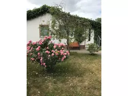 Ferienhaus Ferienhaus-1420503 in Meisdorf - 2 Personen, Hund nicht erlaubt