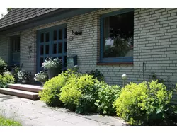 Bild zur gratis inserierten Ferienwohnung Ferienwohnung-1853106.