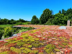 Ferienwohnung Ferienwohnung-3549817 in Niesgrau - 5 Personen, Hund nicht erlaubt