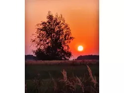 Bild zur gratis inserierten Ferienwohnung Ferienwohnung-3551445.