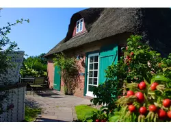 Ferienhaus Ferienhaus-1482123 in Borgsum - 5 Personen, Hund erlaubt