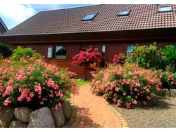 Bild zur gratis inserierten Ferienwohnung Ferienwohnung-1852410.