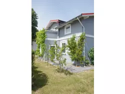 Bild zur gratis inserierten Ferienwohnung Ferienwohnung-1616584.