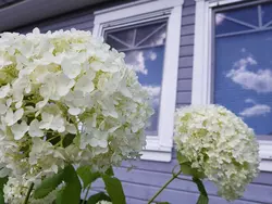 Bild zur gratis inserierten Ferienwohnung Ferienhaus-2174478.