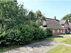 Ferienwohnung Ferienwohnung-3509169 in Alkersum - 4 Personen, Hund erlaubt