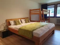 Ferienhaus Ferienhaus-3469628 in St. Blasien - 28 Personen, Hund erlaubt