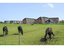 Bild zur gratis inserierten Ferienwohnung Ferienwohnung-3462909.