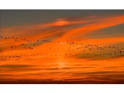 Ferienhaus Ferienhaus-3326982 in Putgarten - 4 Personen, Hund erlaubt