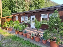 Bild zur gratis inserierten Ferienwohnung Ferienhaus-3434887.