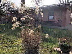 Ferienhaus Ferienhaus-3555058 in Dahmen - 4 Personen, Hund nicht erlaubt