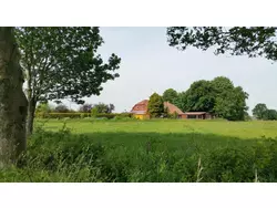 Ferienwohnung Ferienwohnung-3475291 in Ihlow (Landkreis Aurich) - 2 Personen, Hund erlaubt