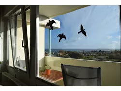 Bild zur gratis inserierten Ferienwohnung Ferienwohnung-1497842.