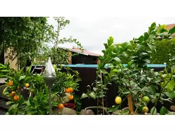 Ferienwohnung Ferienwohnung-1932486 in Lindenberg (Ahrensfelde) - 2 Personen, Hund nicht erlaubt