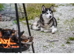 Bild zur gratis inserierten Ferienwohnung Ferienwohnung-3290814.