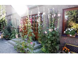 Bild zur gratis inserierten Ferienwohnung Ferienwohnung-1419194.