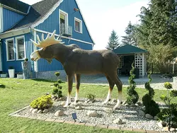 Ferienwohnung Ferienwohnung-1635445 in Eschede - 7 Personen, Hund nicht erlaubt