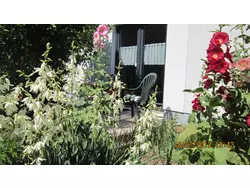 Bild zur gratis inserierten Ferienwohnung Ferienwohnung-3234701.