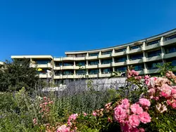 Bild zur gratis inserierten Ferienwohnung Ferienwohnung-3481089.