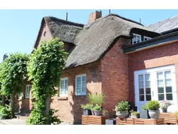 Ferienhaus Ferienhaus-3424978 in Midlum - 6 Personen, Hund erlaubt