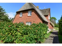 Ferienhaus Ferienhaus-1855346 in Süderende - 6 Personen, Hund erlaubt