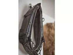 Bild zur gratis inserierten Ferienwohnung Ferienwohnung-1926464.