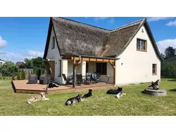 Bild zur gratis inserierten Ferienwohnung Ferienhaus-3431353.