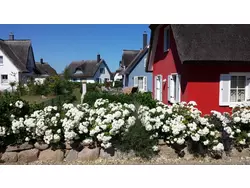 Bild zur gratis inserierten Ferienwohnung Ferienhaus-3439592.