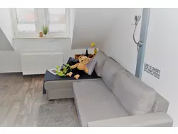 Bild zur gratis inserierten Ferienwohnung Ferienwohnung-1847326.