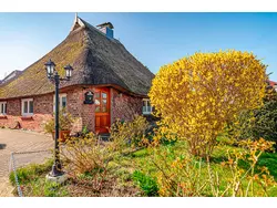 Bild zur gratis inserierten Ferienwohnung Ferienwohnung-3435892.