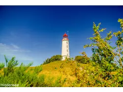 Bild zur gratis inserierten Ferienwohnung Ferienhaus-3568084.