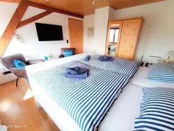 Ferienwohnung Ferienwohnung-2218696 in Konstanz - 4 Personen, Hund nicht erlaubt