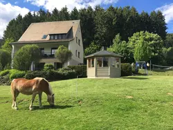 Ferienhaus Ferienhaus-1421365 in Eslohe - 16 Personen, Hund erlaubt