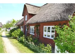 Ferienhaus Ferienhaus-3424987 in Oevenum - 6 Personen, Hund erlaubt