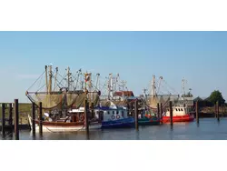 Bild zur gratis inserierten Ferienwohnung Ferienwohnung-2109615.