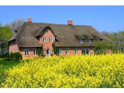 Ferienwohnung Ferienwohnung-1527923 in Kirchspiel Garding - 4 Personen, Hund erlaubt